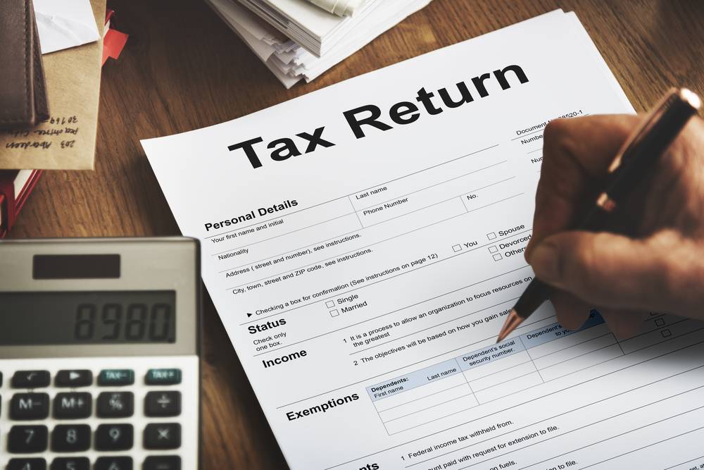 Taxopia's company tax returns